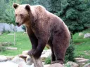Sitka Excursion