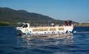 Ketchikan Excursion